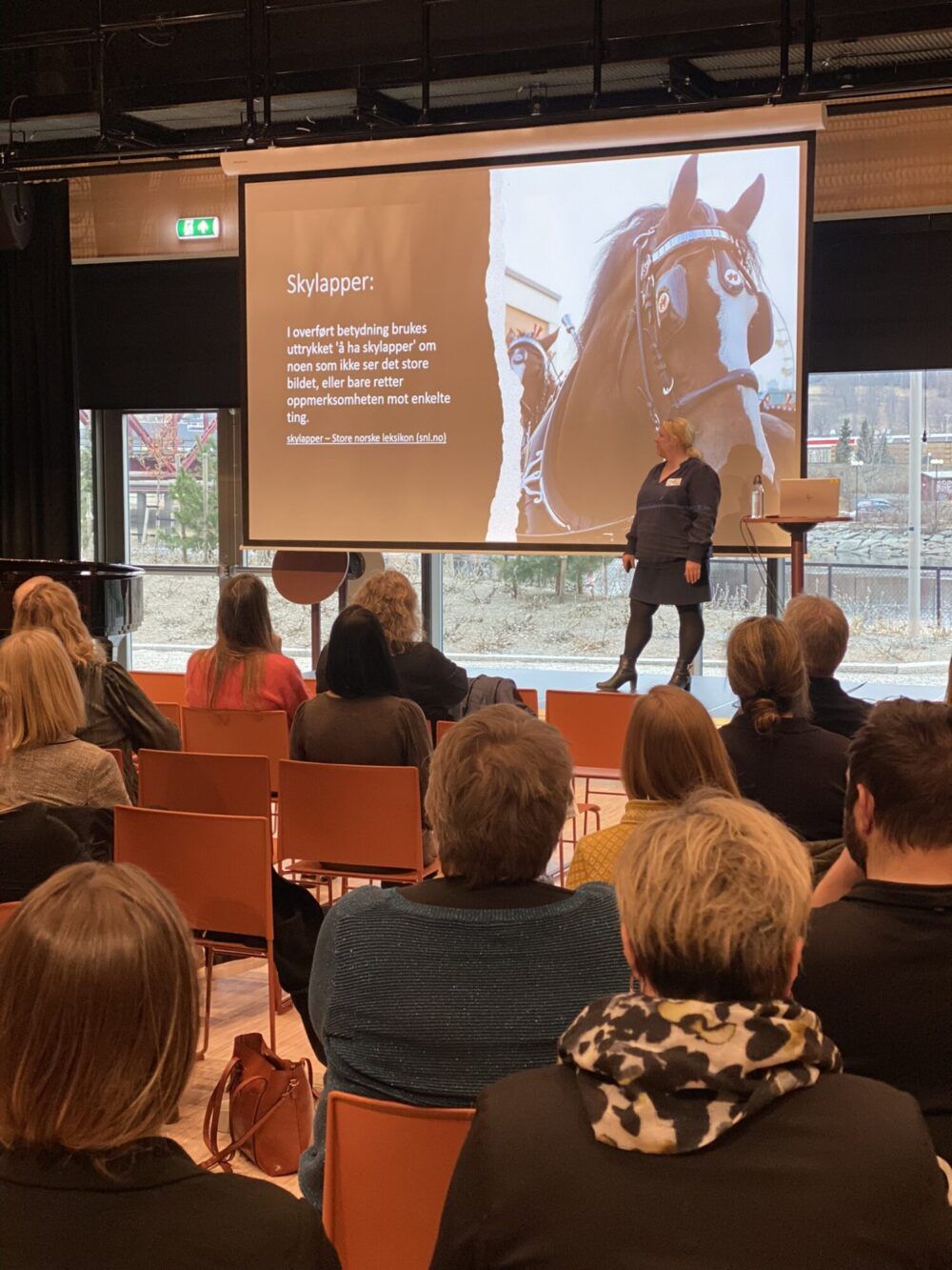 Et fantastisk foredrag av Tonje Sanden Sannes om fremtidens arbeidskraft på Vidu sin konferanse på Steinkjer kulturhus